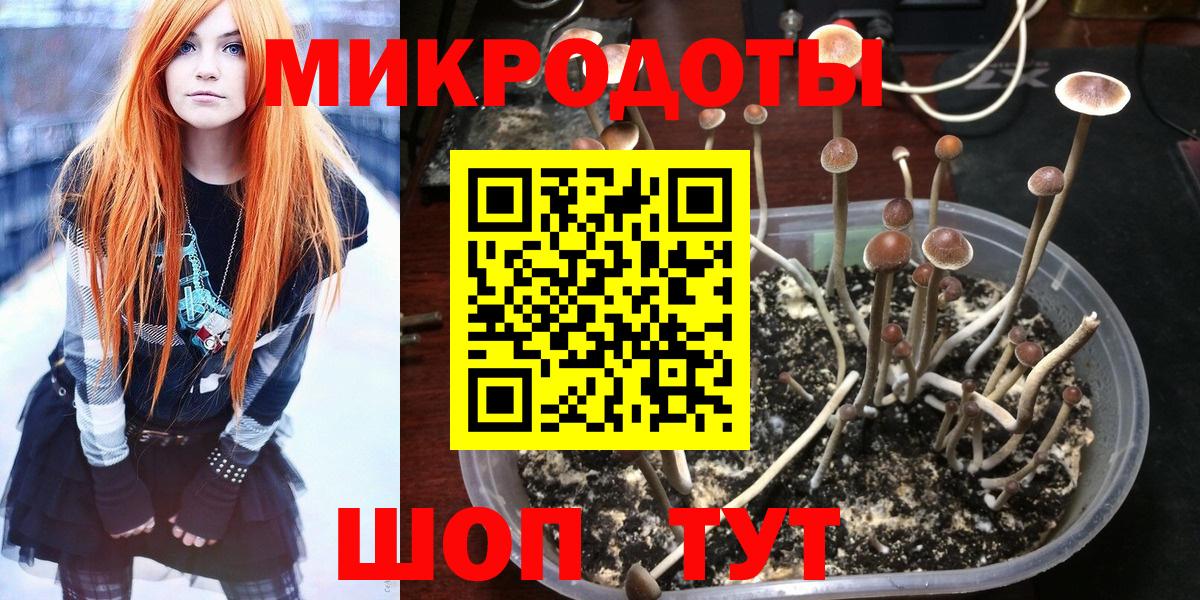 Псилоцибиновые грибы GOLDEN TEACHER  Вход с VPN  Канаш  Псилоцибиновые грибы GOLDEN TEACHER 